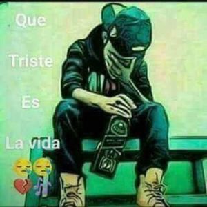 Meet your Posher, Davis